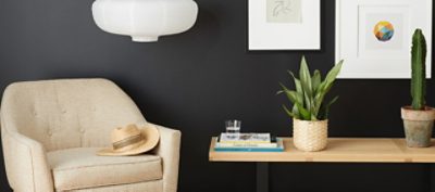 A modern decorated living room space with black matte walls. SW color featured: SW 6991 Black Magic.