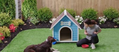 A woman and her dog sitting in front of a freshly painted blue dog house.