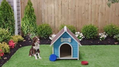 A freshly painted dog house with blue and white paint. SW color featured: SW 7005 Pure White.