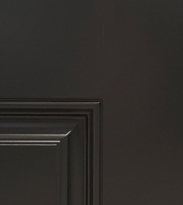 SW 6258 Tricorn Black entry door color