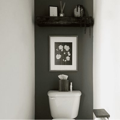 A white ceramic toilet against a green wall with an image of flowers and shelf above.