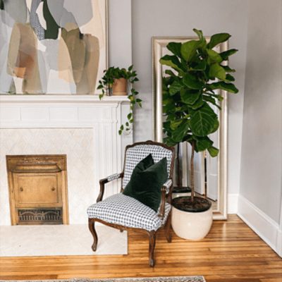 A living room painted in reflection sw 7661 by @darlingdownsouth.