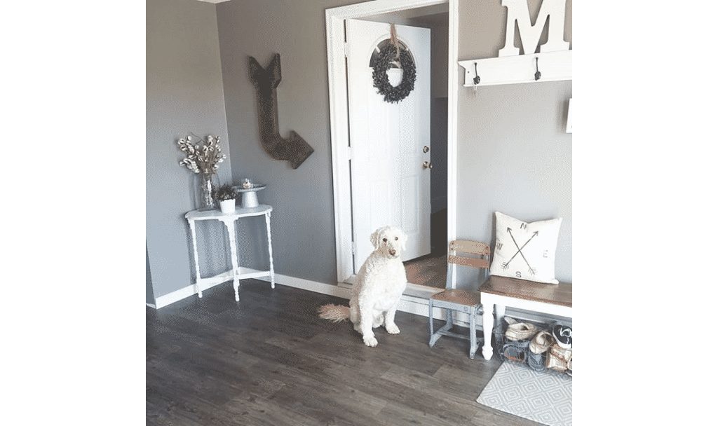 Dovetail paint discount color