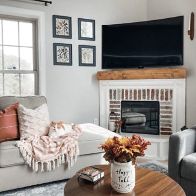 Living room painted in Alpaca SW 7022 by @hodgepodgefarmhouse.