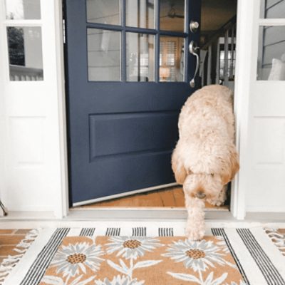 Front door painted in Charcoal Blue SW 2739 by @houseofbluehues.