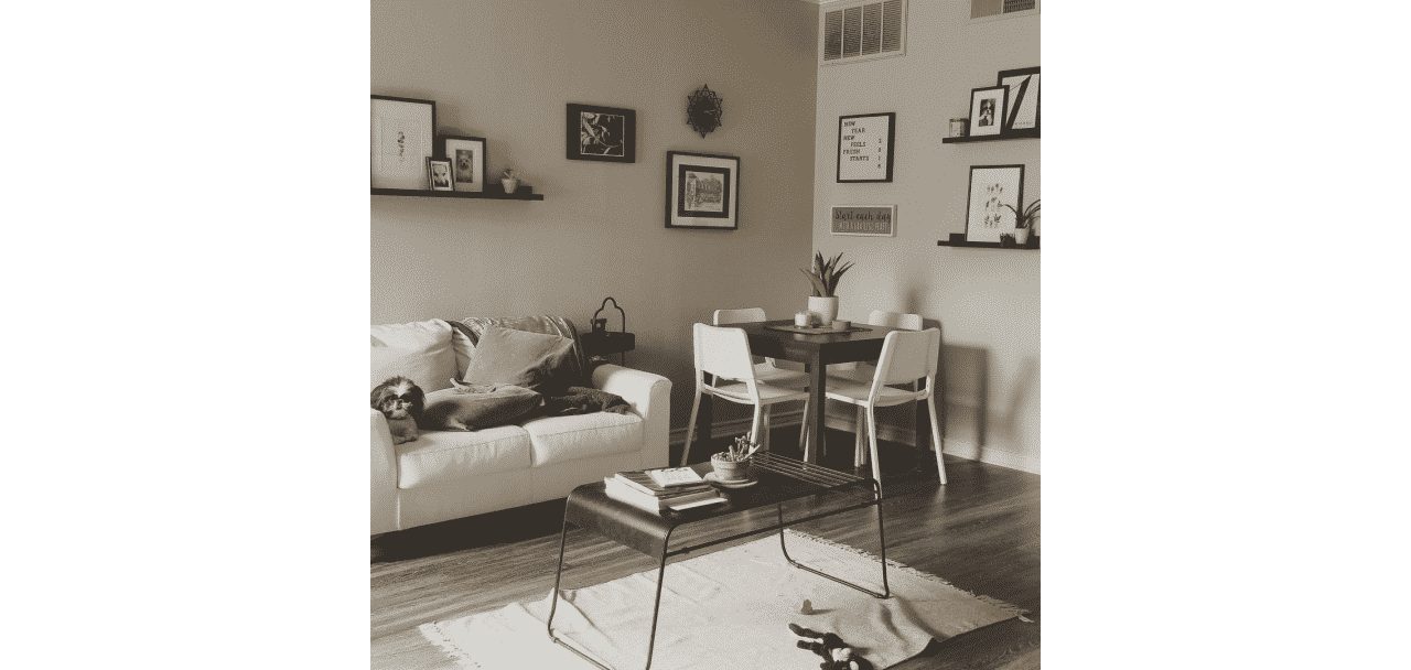 A living room painted with worldly gray sw 7043 by @stephchav.