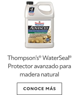 Thompson’s® WaterSeal® Protector avanzado para madera natural.