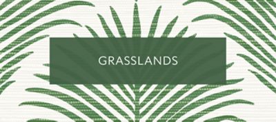 Wallquest Wallpaper Grasslands Collection.