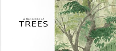 Wallquest wallpaper A Collection of Trees.