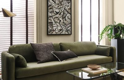 Green sofa next to a table with a fern, coffee table and lamp.