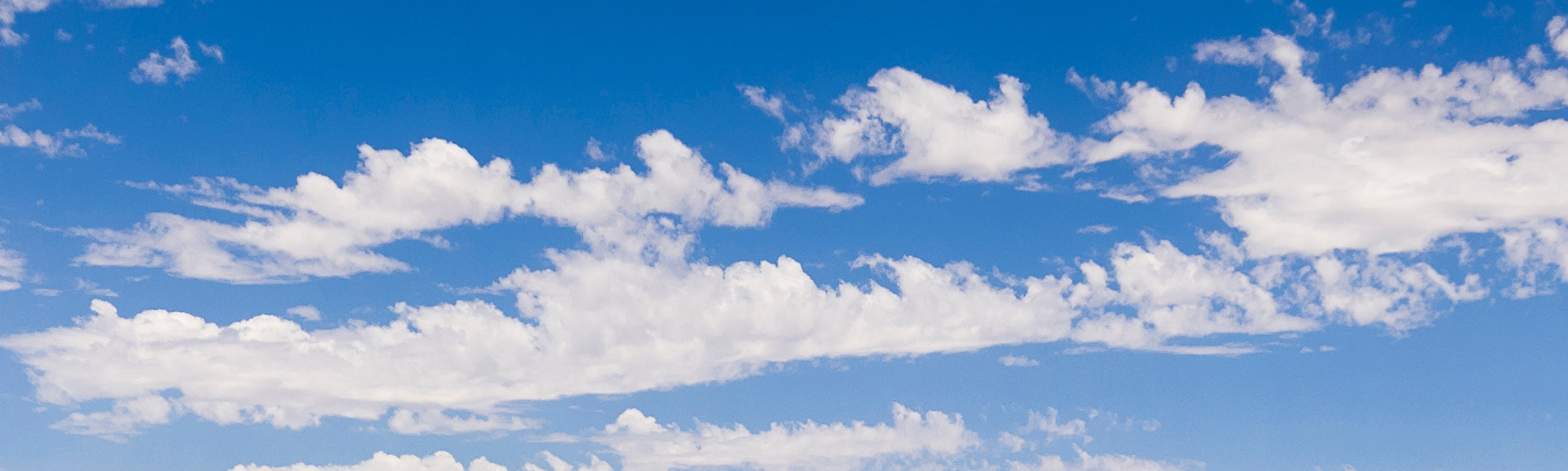 Une rangée de camions blancs avec des revêtements Sherwin-Williams de haute qualité