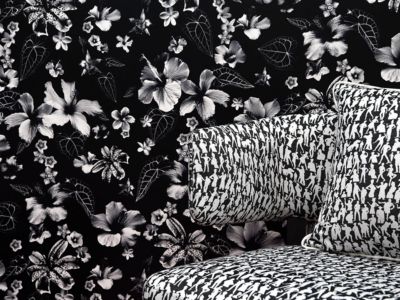 CARIACOU and SILHOUETTES