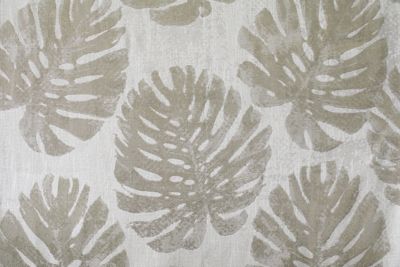 PALM LEAVES
