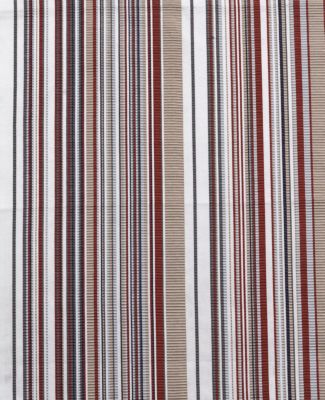 STRIPE MANIA