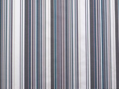 STRIPE MANIA