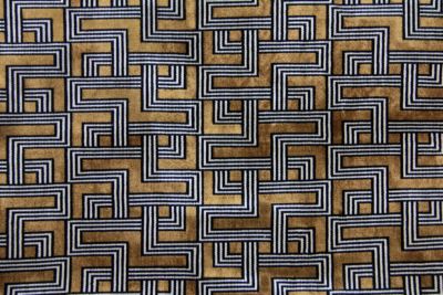 INTERCEPTION JACQUARD VELVET