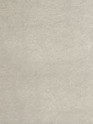 SUCESSO - WIDE WIDTH VELVET