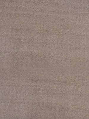 SUCESSO - WIDE WIDTH VELVET