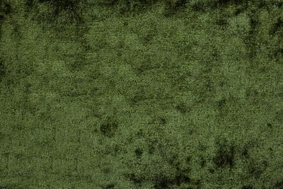 PRIVE MELANGE VELVET FR