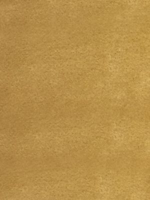 SUCESSO - WIDE WIDTH VELVET