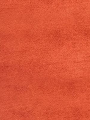 SUCESSO - WIDE WIDTH VELVET