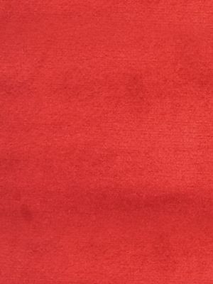SUCESSO - WIDE WIDTH VELVET