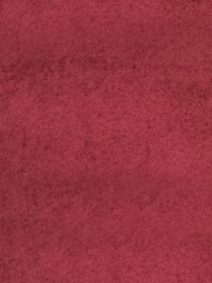 SUCESSO - WIDE WIDTH VELVET
