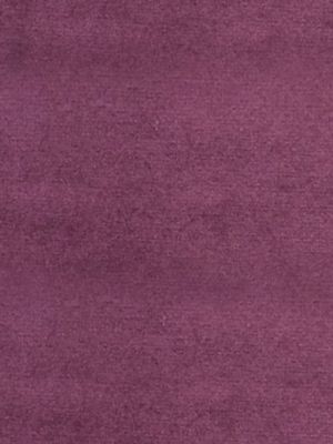 SUCESSO - WIDE WIDTH VELVET