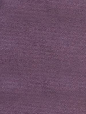 SUCESSO - WIDE WIDTH VELVET