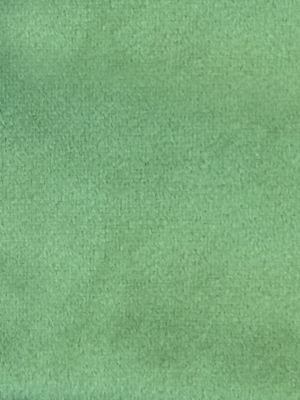 SUCESSO - WIDE WIDTH VELVET