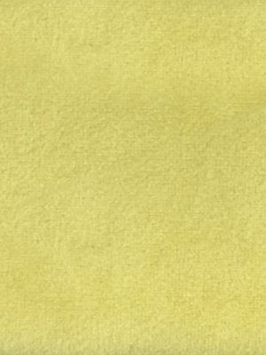 SUCESSO - WIDE WIDTH VELVET