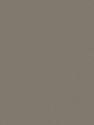 SENSUEDE