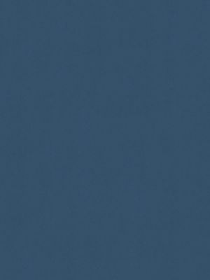 SENSUEDE