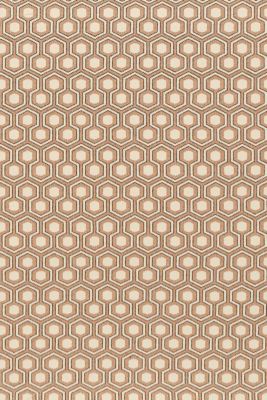HEXAGON HOUSE - AMBER