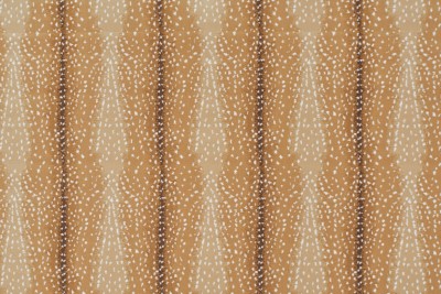 ANTELOPE CUT PILE