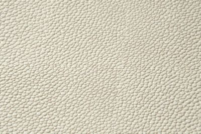 GALUCHAT-SHAGREEN