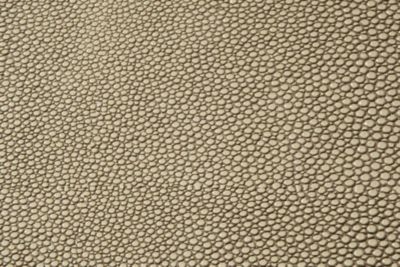 GALUCHAT-SHAGREEN