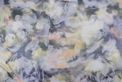 ANTOINETTE WARP PRINT