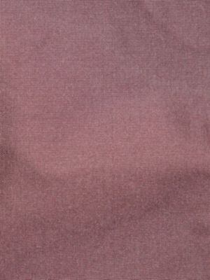 TAFFETA BS