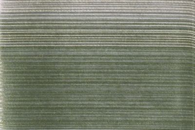 TRISTRIPE