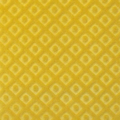 ARGO TRELLIS