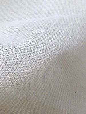 VELUM 500