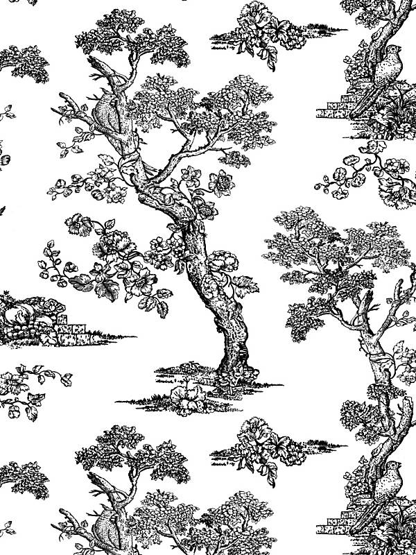 Countryside Toile in Noir
