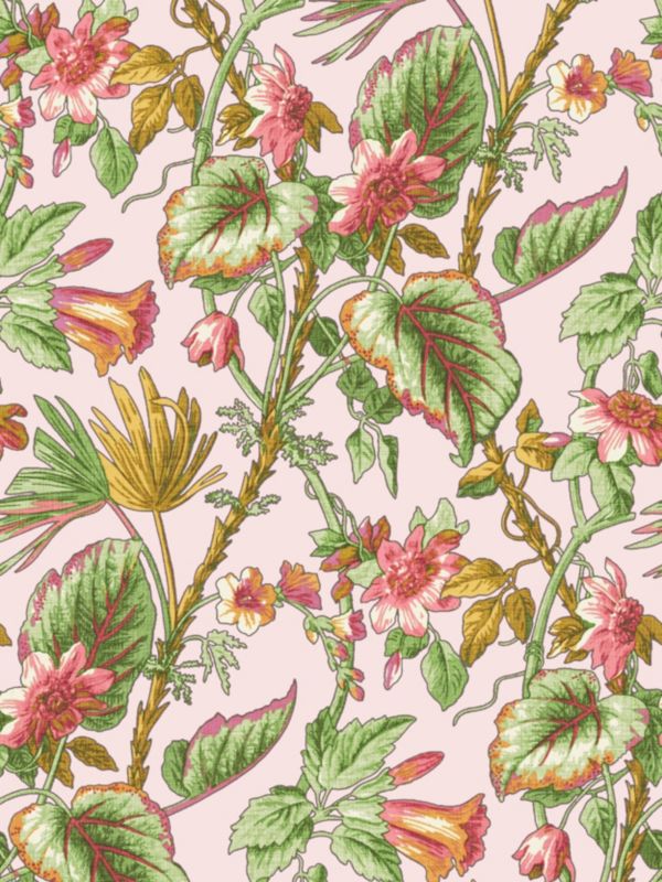 Tropical Flora in Blush