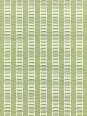 LARK STRIPE