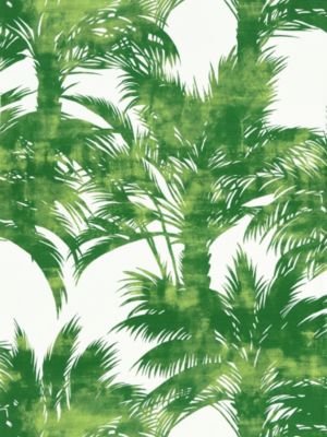 PALM PRINT