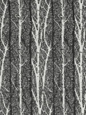 BIRCH WEAVE