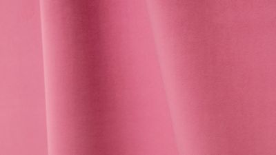 PIGMENT
