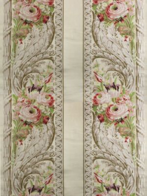 FOUGERE BORDURE