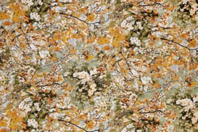 SAKURA TAPESTRY